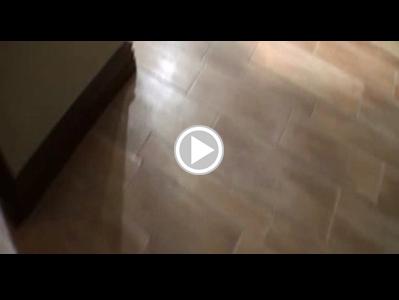 Ass sex videos free